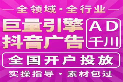 SEO与SEM融合策略：成功案例解析
